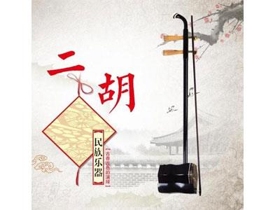 招聘珠海二胡家教老师